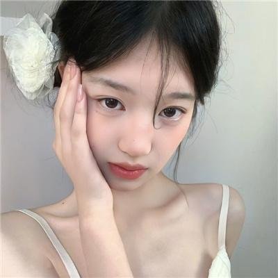 特工插班生